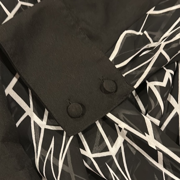 Bisou Bisou Sheer Blouse L - Picture 3 of 6